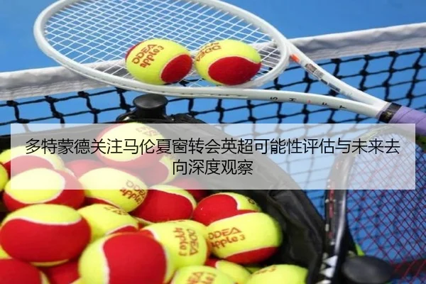 多特蒙德关注马伦夏窗转会英超可能性评估与未来去向深度观察