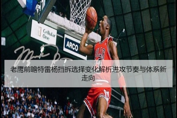 老鹰前瞻特雷杨挡拆选择变化解析进攻节奏与体系新走向